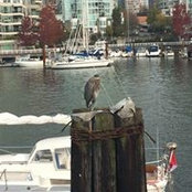 Rachel Christensen's photo