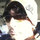 sundeep_vig