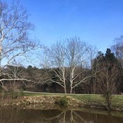Dina Vogel's photo