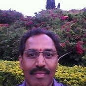 Foto von Suresh Kumar Revalla B
