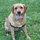 harrington_colleen