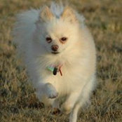 Meggie Allens foto