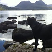 Alyson Brenchley's photo