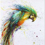 susan pinsky's photo