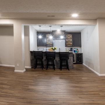 Basement with Bar & Bathroom