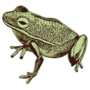 Green Frog Magnet