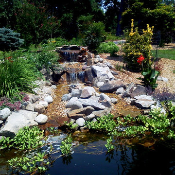 Water Feature