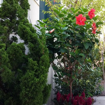 Greenwich Village Rooftop Garden