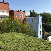 Roof Top — Green
