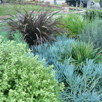 Contrasting color and texture