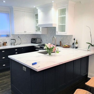 Whitmore Ave. Kitchen