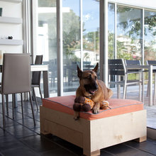 Dog beds