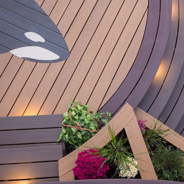 Whale Deck