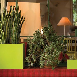 Cubotti Outdoor Planters by Serralunga - Outdoor Pots And Planters