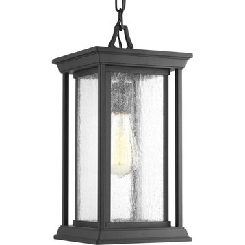 Endicott Collection 1-Light Hanging Lantern, Black