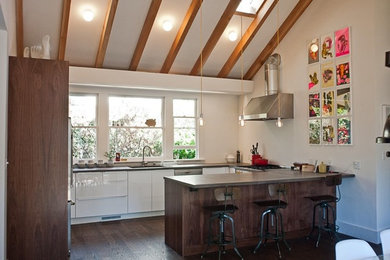 Mid-sized trendy u-shaped dark wood floor eat-in kitchen photo in San Francisco with flat-panel cabinets, white cabinets, stainless steel appliances and a peninsula