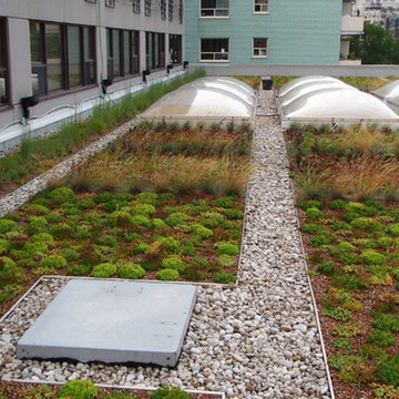 Green Roofs