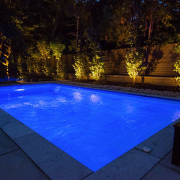 Contemporary Front & Backyard in Beaconsfield (Night)