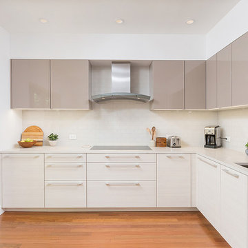 Old City, Philadelphia: Sleek Modern Kitchen with Triptych Cafe Door