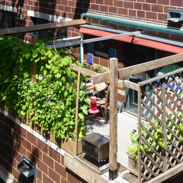 Retractable Canopy, Chicago