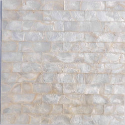capiz mosaic /soft shell mosaic - Products