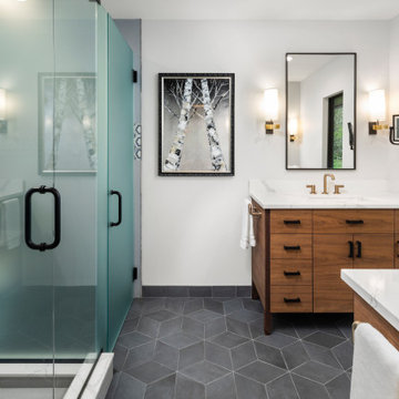 Edina Mid Century Modern / Contemporary Remodel
