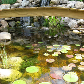 Water Features