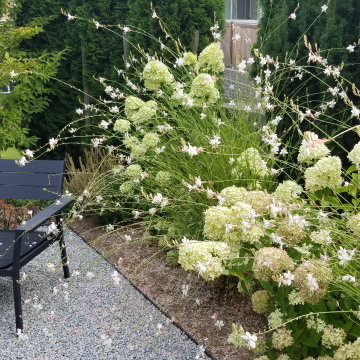 Sammamish  Plateau