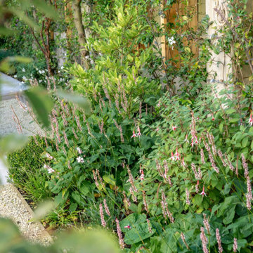 Clifton Courtyard Garden