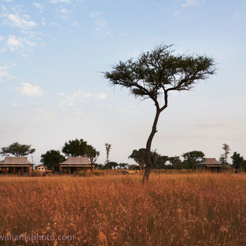 Explore, Singita Tented Camp, Tanzania