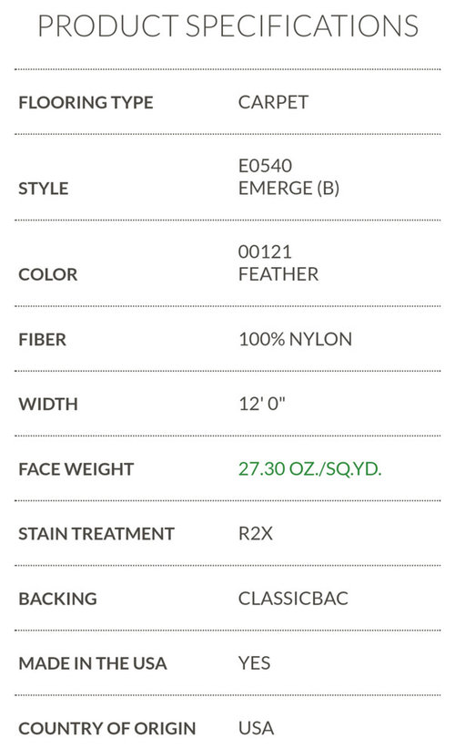 Please help me decide on carpet nylon vs polyester