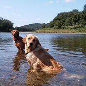 Cheryl Ganley's photo