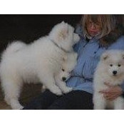 Marjorie Goodenough's photo