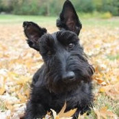 Amy Ingram's photo