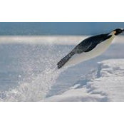 John Heugle's photo