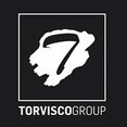Foto de perfil de TORVISCO GROUP