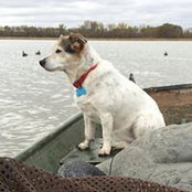 Dale Lhotka's photo