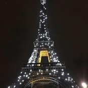 Susan Verdery's photo