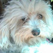 Michele Provencal Mader's photo