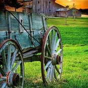 Mary Dements foto