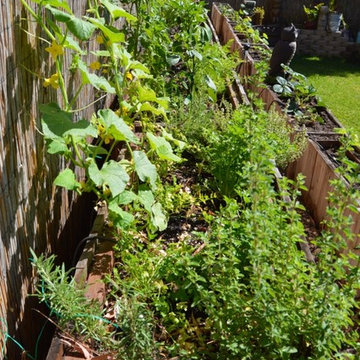 Organic Edible Gardens