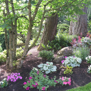 Nature Attracting Home in the Hills