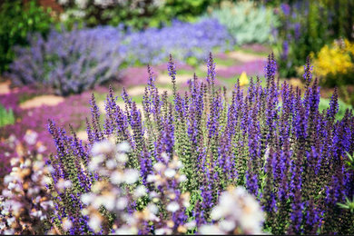 Design ideas for a mid-sized traditional partial sun backyard mulch formal garden in Denver for spring.