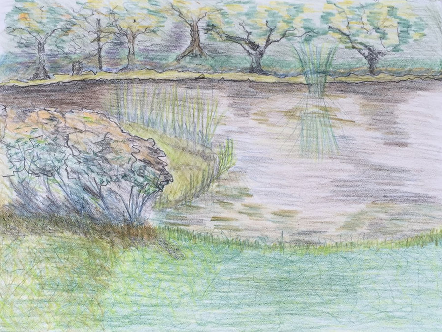 (SOLD) Small Pencil Drawing Callicoon NY