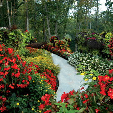 Georgia House Front Yard Makeover