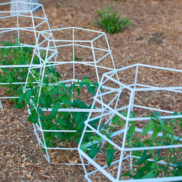 Modern Tomato Cage & Plant Support
