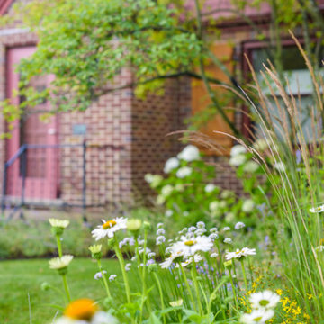 Neglected Landscape Turns into Pollinator Paradise