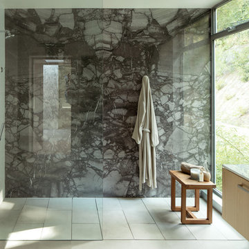 Coldwater Canyon Residence