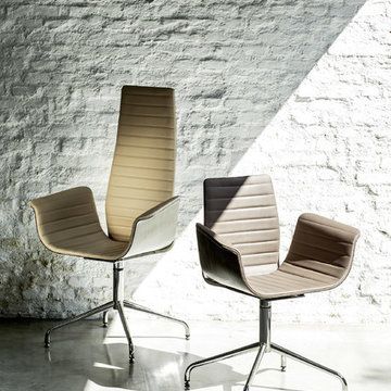 Meeting  Chair, Bross Italy
