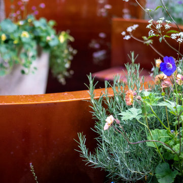 RHS Chelsea Flower Show 2026